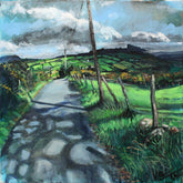 View Of Moneyscalp Forest, Mournes